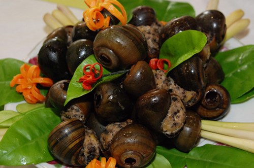 bai-thuoc-chua-benh-tu-oc-nhoi